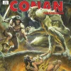 Michael Fleisher Fantasy^Savage Sword of Conan Original Omnibus Reg Vol. 06