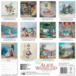 Flame Tree Studio Kalendere^Science Museum: Alice in Wonderland Wall Calendar 2025 (Art Calendar)