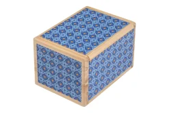 Secret Box Kyoto* Hjernetrim