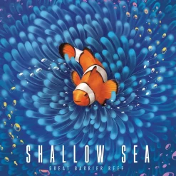 Yeom.C.W Familiespill^Shallow Sea