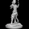 WizKids Karakterer^Shifter Fighter (Wave 20) Dungeons & Dragons Nolzurs Marvelous Unpainted Miniature