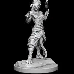 WizKids Karakterer^Shifter Fighter (Wave 20) Dungeons & Dragons Nolzurs Marvelous Unpainted Miniature