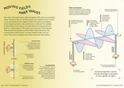 DK Teknikk & Vitenskap^Simply Physics: Facts Made Fast