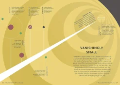 DK Simply Quantum Physics* Teknikk & Vitenskap