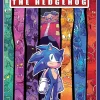 Adam Bryce Thomas Sonic The Hedgehog, Volume 7: All or Nothing* Barn & Unge