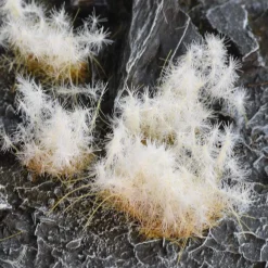 Gamers Grass Spikey Winter Wild 12 mm* Basing & Modellering