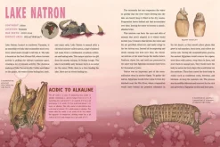 Geo Rutherford Spooky Lakes: 25 Strange and Mysterious Lakes that Dot Our Planet* Teknikk & Vitenskap|Grøssere