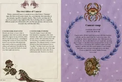 Alise Morales Stuff Your Astrologer Should Have Told You: The Brutally Honest Truth Behind the Bad Traits of Each Star Sign* Kropp, Sinn, & Sjel