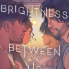 Eliot Schrefer The Brightness Between Us* Lgbtq+