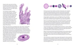 Dr Sara Webb The Little Book of Cosmic Catastrophes (That Could End the World): What has happened • What can happen • What will happen* Teknikk & Vitenskap