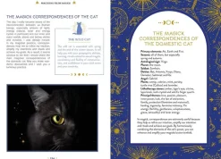 Anne-Sophie Casper Kropp, Sinn, & Sjel^The Magick of Cats: The Cat Lover's Guide to Enchanted Feline Energy