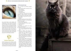 Anne-Sophie Casper Kropp, Sinn, & Sjel^The Magick of Cats: The Cat Lover's Guide to Enchanted Feline Energy