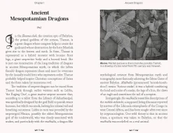 Joel Levy Teknikk & Vitenskap|Historie^The Pocket Book of Dragons: Myth, Magic and Meaning