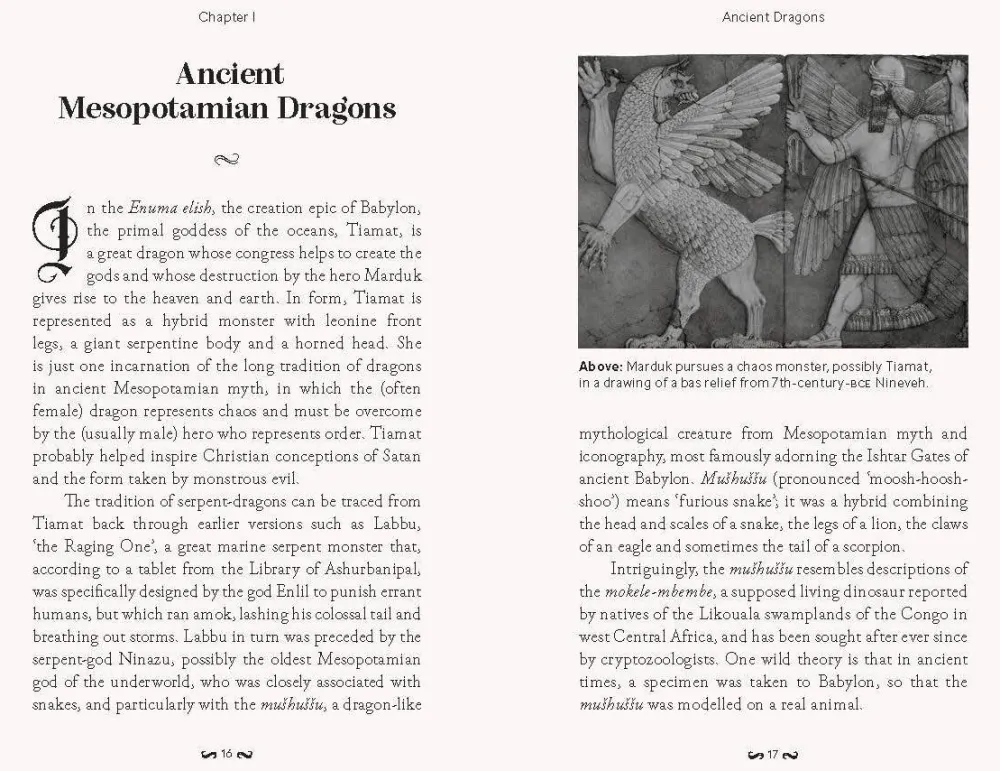 Joel Levy Teknikk & Vitenskap|Historie^The Pocket Book of Dragons: Myth, Magic and Meaning