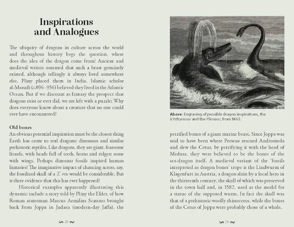 Joel Levy Teknikk & Vitenskap|Historie^The Pocket Book of Dragons: Myth, Magic and Meaning