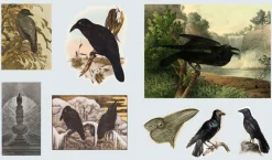 Håndarbeid^The Sticker Treasury of Ghosts & Dark Curiosities: An eclectic book of stickers for journaling, collaging, scrapbooking and more