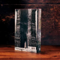 Alan Lee The Two Towers (The Lord of the Rings, Book 2)* J. R. R. Tolkien