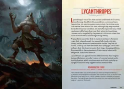 Andrew Wheeler Samlebokser^The Young Adventurer's Collection Box Set 2 (Dungeons & Dragons 4-Book Boxed Set): Beasts & Behemoths, Dragons & Treasures, Places & Portals, Artificers & Alchemy