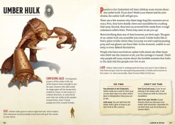 Andrew Wheeler Samlebokser^The Young Adventurer's Collection Box Set 2 (Dungeons & Dragons 4-Book Boxed Set): Beasts & Behemoths, Dragons & Treasures, Places & Portals, Artificers & Alchemy