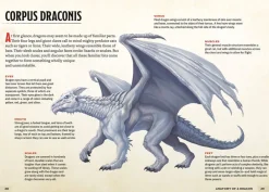 Andrew Wheeler Samlebokser^The Young Adventurer's Collection Box Set 2 (Dungeons & Dragons 4-Book Boxed Set): Beasts & Behemoths, Dragons & Treasures, Places & Portals, Artificers & Alchemy