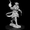 WizKids Karakterer^Tiefling Female Sorceror (Wave 15) Dungeons & Dragons Nolzurs Marvelous Unpainted Miniature Figur
