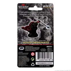 WizKids Karakterer^Tortle Male Monk (Wave 3) Icons of the Realms Premium Painted Miniatures Figur