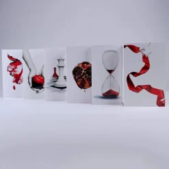 Stephenie Meyer Samlebokser^Twilight Saga 6 Book Set (White Cover)