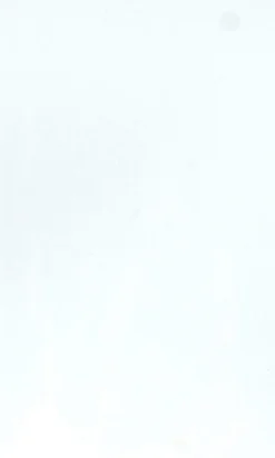 Kortlommer Kortlommer^Ultra-PRO Tarot Cards Sleeves 70x120 mm (50)