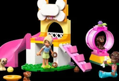LEGO Friends Lego^Valpelekeplass (42665)