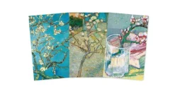 Flame Tree Studio Tegne & Male^Vincent van Gogh: Blossom Set of 3 Mini Notebooks