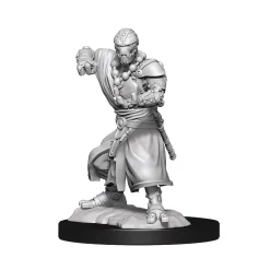 WizKids Warforged Monk (Wave 14) Dungeons & Dragons Nolzurs Marvelous Unpainted Miniature Figur* Karakterer