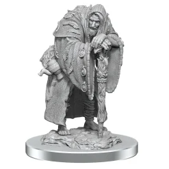 WizKids Wereravens (Wave 19) Dungeons & Dragons Nolzurs Marvelous Unpainted Miniature* Monstere
