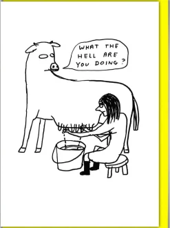 Kort, Bursdag & Anledning^What The Hell Card