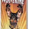 Archie Goodwin Wolverine^Wolverine Epic Collection: Back To Basics