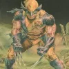 Daniel Way Wolverine Origins: Romulus* Wolverine