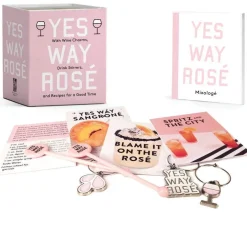 Erica Blumenthal Yes Way Rose Mini Kit: With Wine Charms, Drink Stirrers, and Recipes for a Good Time* Kokebøker